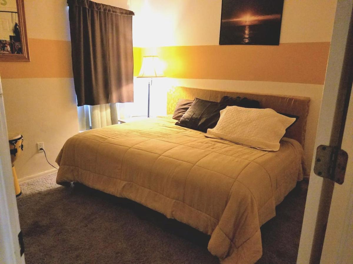 Cozy And Conveniently Located Pool Home With Free Wifi Тампа Екстериор снимка