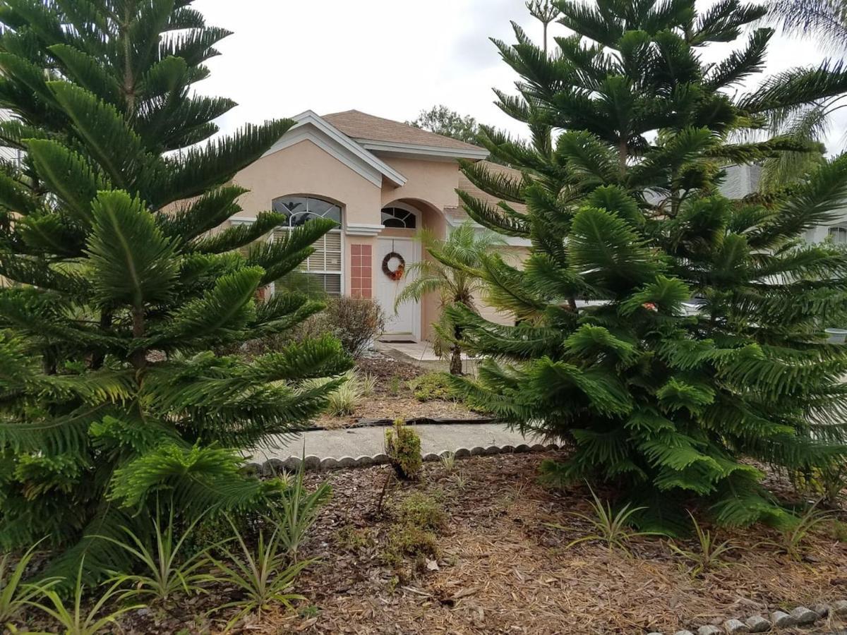Cozy And Conveniently Located Pool Home With Free Wifi Тампа Екстериор снимка